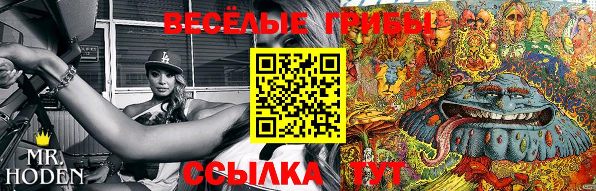 Псилоцибиновые грибы Cubensis  Вход с VPN  Гурьевск  Галлюциногенные грибы прущие грибы 
